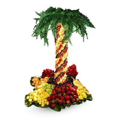 Cronus Pineapple Tree – 4ft