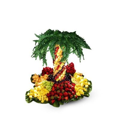 Zeus Pineapple Tree – 3ft